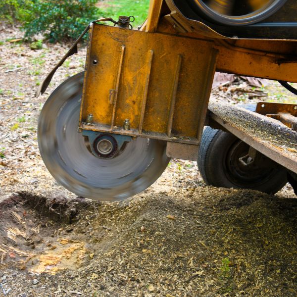 Website-stump-side-view-stump-grinder Side view of yellow stump grinder.